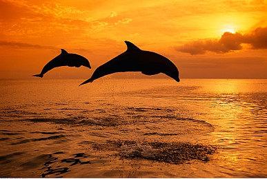 Steam最新一周销量榜 《黑帝斯2》成功登顶